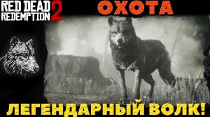 Red Dead Redemption 2 - Охота. Легендарный Волк.