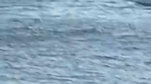 формула 1 на воде