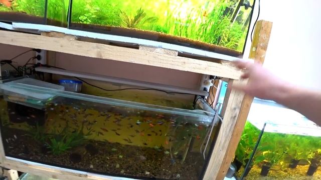 Нужна ли аэрация в аквариуме с фильтром смотреть онлайн