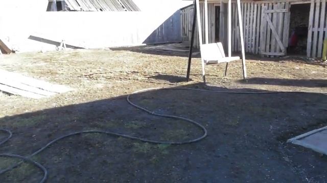 Выгуливаем Собак/Убрались В Саду/Достал Бардак/Как отшить Назойливый Банк/13.04.20 смотреть онлайн