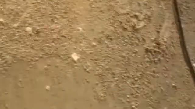 леся лижет пита смотреть онлайн