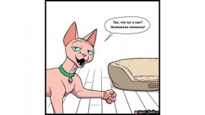 Пикси и Брут. 16 серия. Комиксы | Мемозг 724