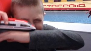 Сапсан, сапсан