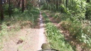Irbis Intruder 200 In the forest