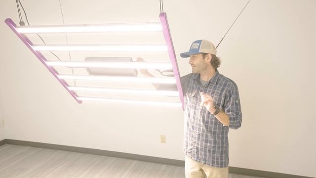 Best LED Grow Light 2023 | Kind LED Grow Light Review and Unboxing