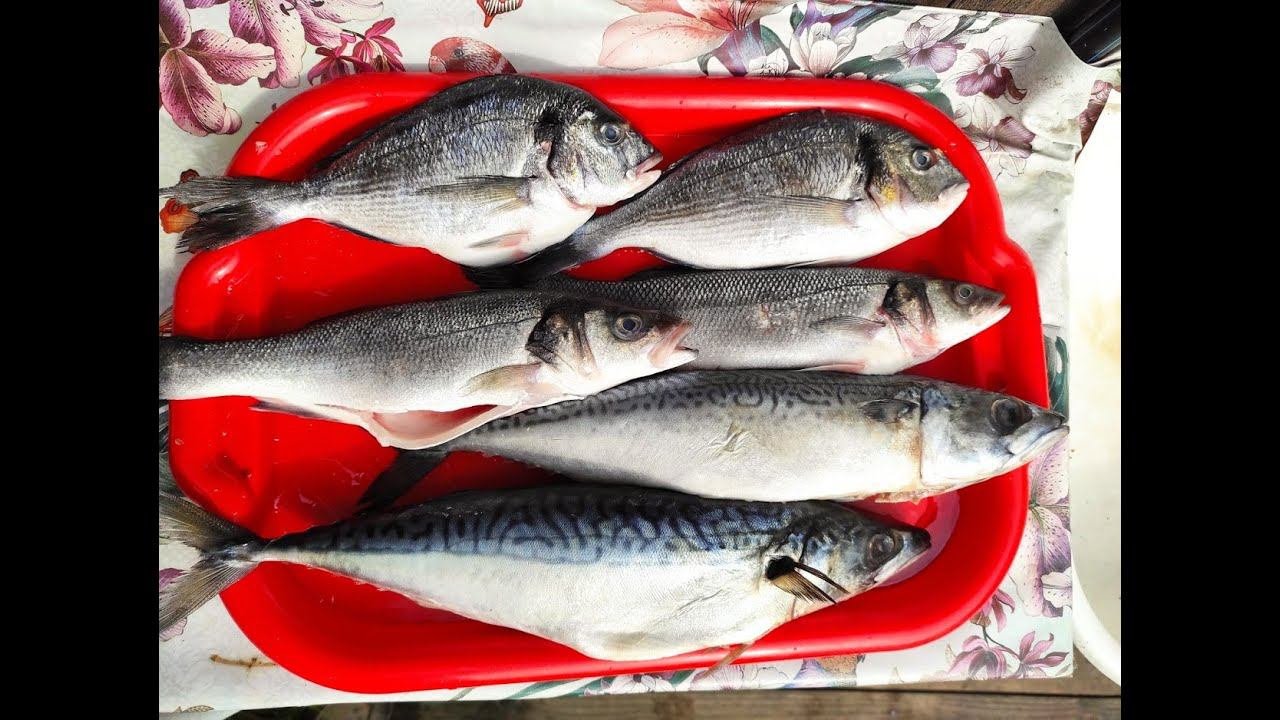 Рыба Горячего Копчения.Копчёная скумбрия ,дорадо,сибас