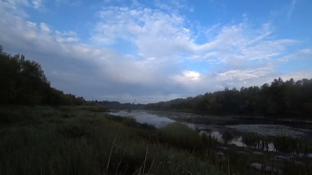 Сменил место и настрелял дичи.Две утрянки.Охота на утку осень 2023 смотреть онлайн