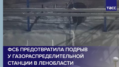 ФСБ предотвратила подрыв у газораспределительной станции в Ленобласти