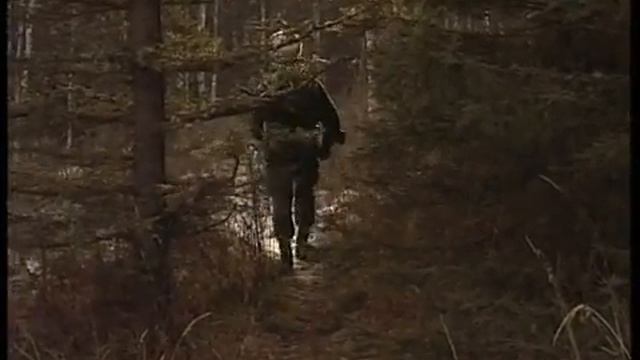 В Хакасии начинается массовый отстрел лис смотреть онлайн