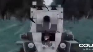 девушки и танки