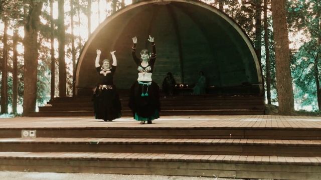 Fakesnake - Ievan polkka смотреть онлайн