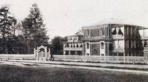 "ЦАРИЦЫНО"  ИСТОРИЯ