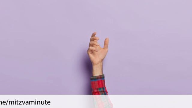 212 | Зачем человеку руки? смотреть онлайн