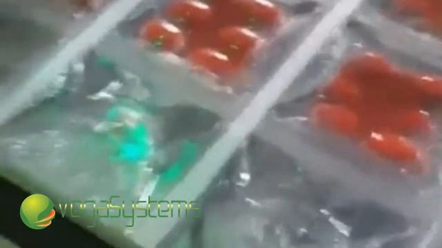 Термоформер (вакууматор) Линия Vega Vac Termoformer  H 6600
