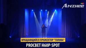 PROCBET H60P SPOT - видео от клиента