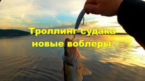 Троллинг судака Снова сменились воблеры