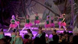 Версаль. Отчетный концерт. Танцы.