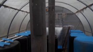 Чтобы теплицу не придавило снегом - ставим опоры.