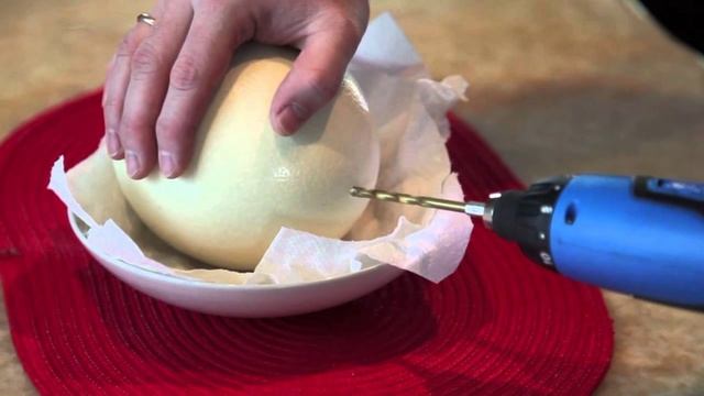 Создание гомункула из страусиного яйца | Как сделать гомункула (Homunculus) ч1 смотреть онлайн