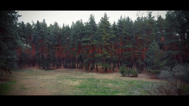 Белгородская область | Белгород, Валуйки | Mavic air смотреть онлайн