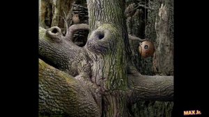 Белый гном спас свою планету. Samorost 3 / Саморост 1 серия. Озвучка MaxJunior.