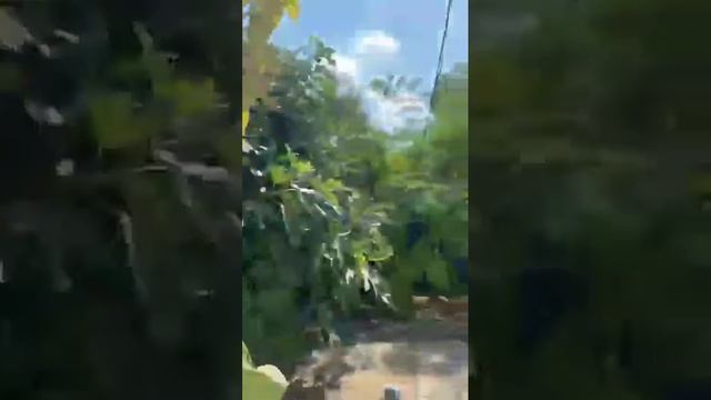 Какая природа, какие кактусы.