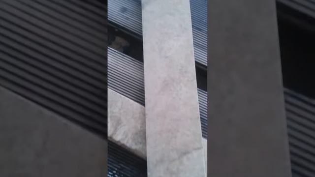 Sceppach fs3600 смотреть онлайн