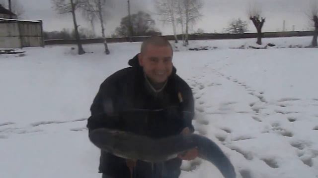 Предновогодняя и трофейная рыбалка в Раменской "Гжелке" смотреть онлайн