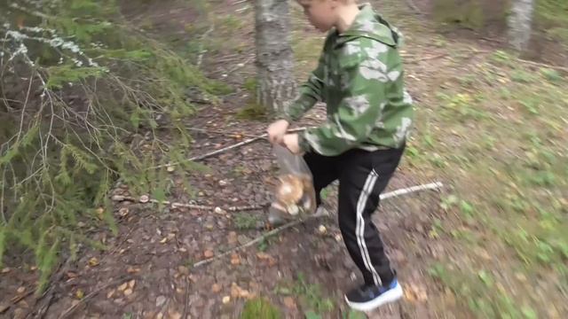 ОДИН ПО ГРИБЫ В ЛЕС! СХОДИЛ В СВОЙ СУПЕРМАРКЕТ! Грибы не дают выйти из ЛЕСА! смотреть онлайн