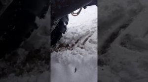 воздух в топлевной системе мтз