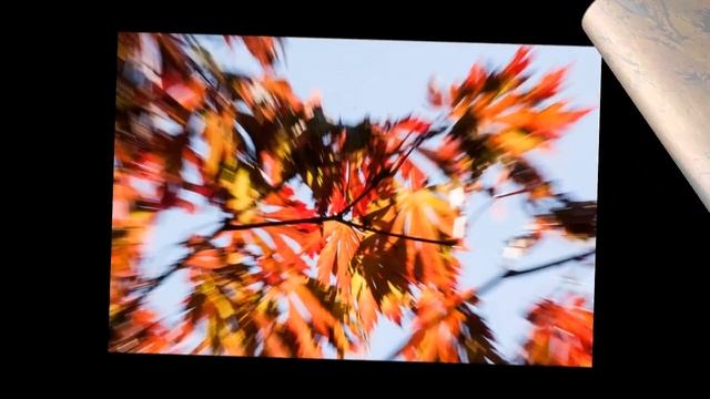 "Осень в стиле джаз" Светлана Сачкова смотреть онлайн