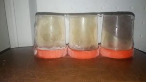 ZIC Top 5w40 pao, MIX , РН М10Дм при  -30С