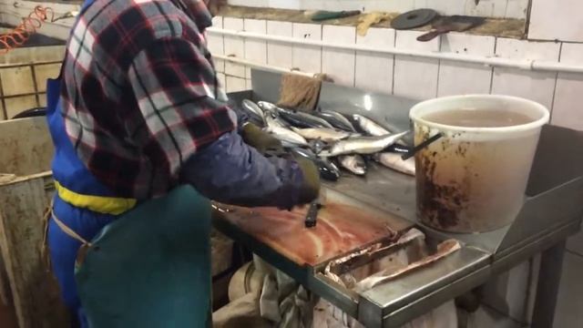 Стол для разделки рыбы смотреть онлайн