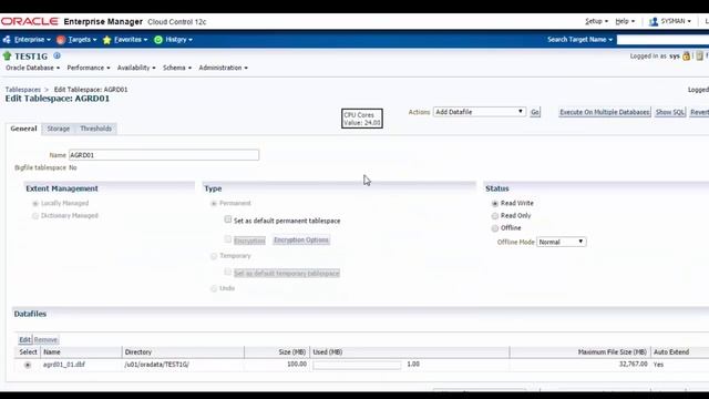 Manage Oracle Tablespaces with Oracle Enterprise Manager 12C смотреть онлайн