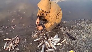 Рыбалка воркута