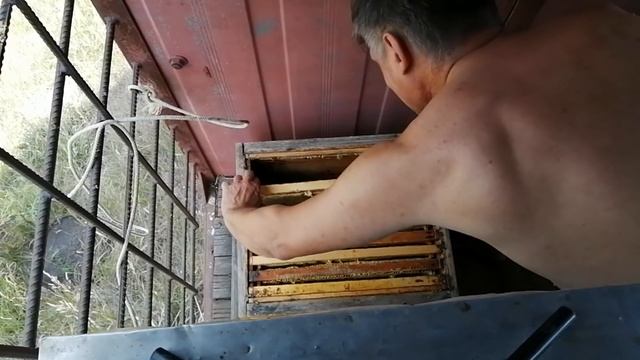 РОЕНИЕ 150% СПОСОБ ЕГО ПОБЕДИТЬ !!! смотреть онлайн