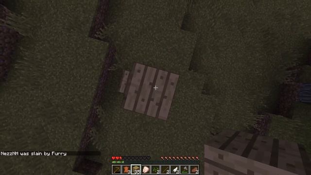 I Trolled my Friend With a Furry Minecraft Mod! смотреть онлайн