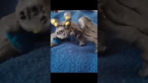 тихоокеанский рубеж 3