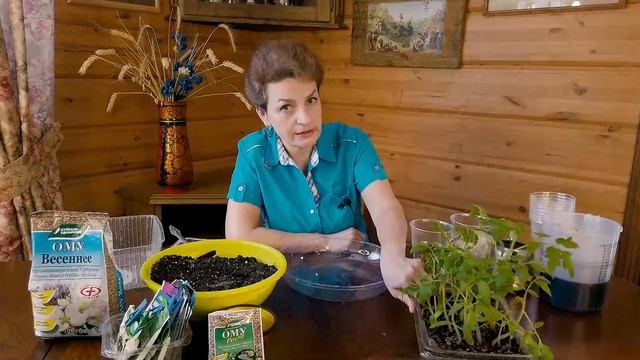 Пересадка вытянутой рассады / Чем ее подкормить смотреть онлайн