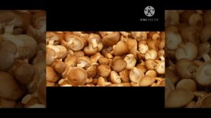 "Лесные подарки" Л.Ф.Воронкова