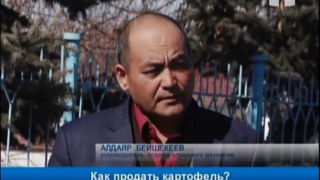 Как продать картофель?