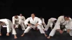 Danzan Ryu NYC Jujitsu demo
