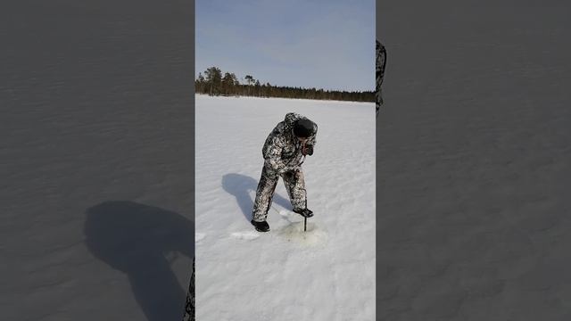 Рыбалка началась))) смотреть онлайн