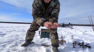 РАЗМЫЛО ЛУНКИ!!!  Рыбачу на двух озёрах.