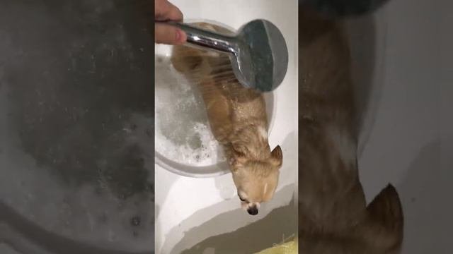 Чистота - залог здоровья