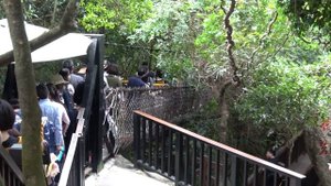 Хайнань 07 — Подвесной мост. Парк Тропический рай