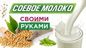 Как приготовить соевое молоко в домашних условиях в блендере