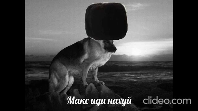 Ондатровая шапка