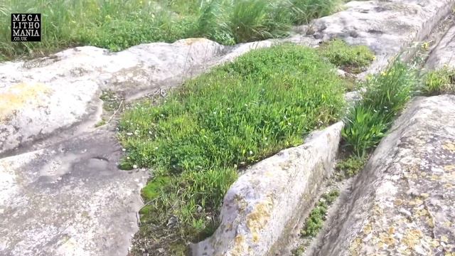 Cart Ruts | Megalithic Anomalies in Prehistoric Malta | Site of San Gwann | Megalithomania