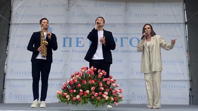 Желаю (Елена Ваенга). Eleganza Band